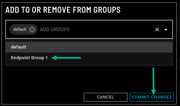 Add Endpoint to Group 2.0.1