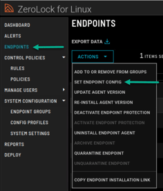 Endppoint Action Set Endpoint Config 2.0.1