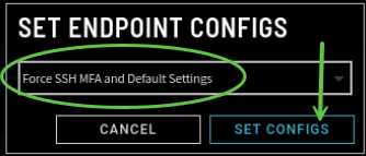 Image_11_Set Endpoint Configs