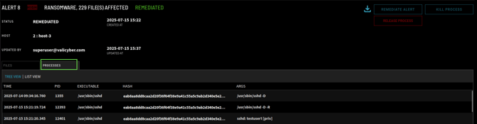 Image_12_Process View_v4.2.0