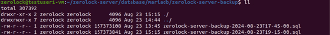 Image_1_Backup File Location_v4.2.4