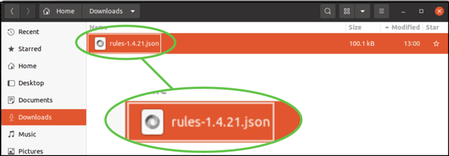 Image_2_json File Downloaded_v4.1