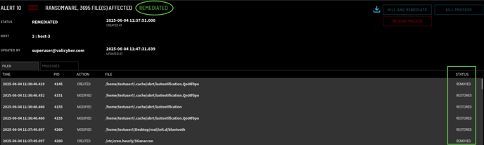 Image_5_Remediated_v4.1.10