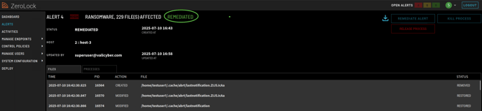 Image_5_Remediated_v4.2.0-1