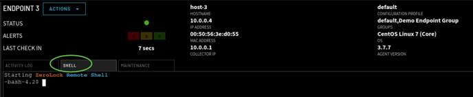 Image_6_SHELL_v4.1
