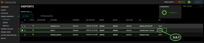 Step_1_Agent Version on Endpoint v4.2.0