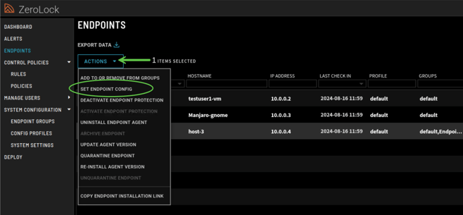 Step_1_Endpoints Window