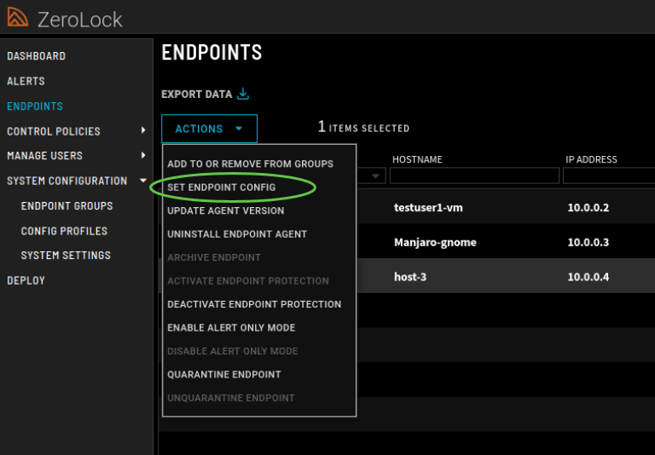 Step_1_Set Endpoint Config-1