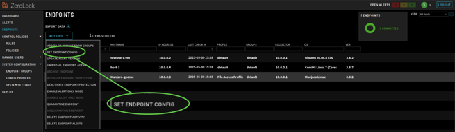 Step_1_Set Endpoint Config_v4.1.10