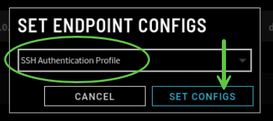 Step_2_Set Endpoint Configs with Profile-1