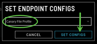 Step_2_Set Endpoint Configs-2