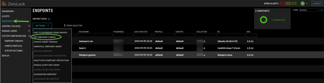 Step_3_Set Endpoint Config-1