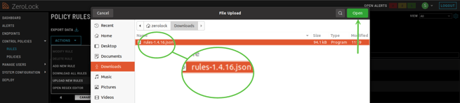Step_4_Downloads_json file-3