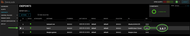 Step_4_Endpoint Agent v3.8.7